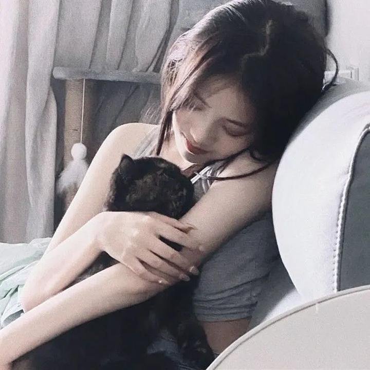爱情像猫一样